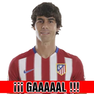🏧 c376bbe6 !!! GAAAAAL !!! bóng đá, bàn thắng, thể thao, Atlético Madrid, bóng đá telegram sticker