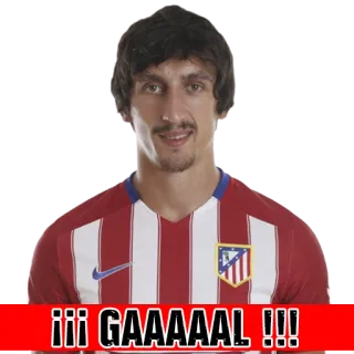 🏧 dbb846cf ¡¡¡ GAAAAAL !!! bóng đá, bóng đá, bàn thắng, thể thao, vận động viên telegram sticker