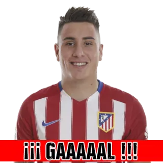 🏧 f6c268e5 !!! GAAAAAL !!! bóng đá, thể thao, bàn thắng, ăn mừng, bóng bầu dục Mỹ telegram sticker
