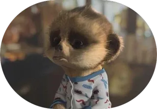 😒 8d10b935 surykatka, zwierzę, słodki, smutny, piżama telegram sticker