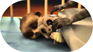 😴 95170105 surykatka, zwierzę, słodki, śpiący, koc, futrzany telegram sticker