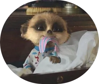 ☺️ e7d025e4 surikatka, zwierzę, słodki, kreskówka telegram sticker