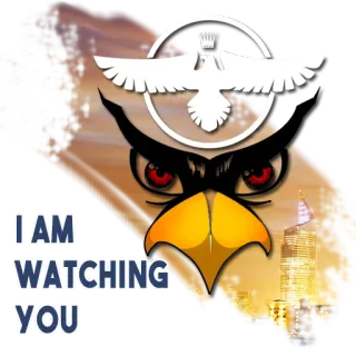 😒 654431e4 I AM WATCHING YOU นกอินทรี, กำลังมอง, นกฮูก, ตา, ระแวดระวัง, ในเมือง, เมือง telegram sticker
