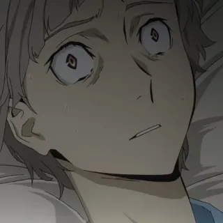 🐾 801b7d07 telegram sticker