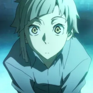 🐾 ee3e3ca1 telegram sticker