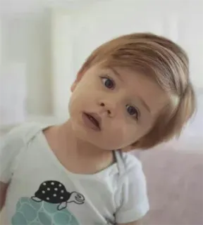 🥺 a33e712e bayi, balita, anak, kura-kura, imut, potret telegram sticker