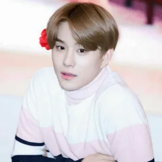 🍧 17a52e5e telegram sticker