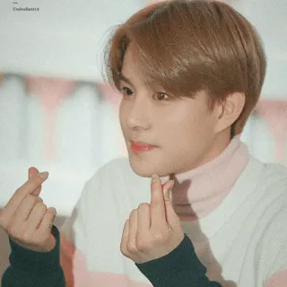 🍧 86a78f32 kpop, 偶像, 手指爱心, 亚洲, 名人, 韩国 telegram sticker