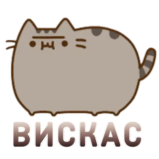 💩 032c46a0 ВИСКАС gato, Pusheen, ruso, texto, animal, dibujos animados whatsapp sticker