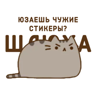 👅 25ec9619 НЕ ТРОГАТЬ!!! ШАЛУН gato, ruso, shalun, enfadado, pegatina, no tocar whatsapp sticker