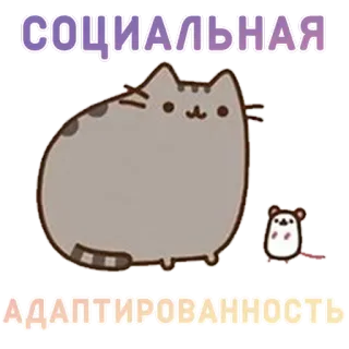 👯 3a0549b7 Pusheen СОЦИАЛЬНАЯ
АДАПТИРОВАННОСТЬ gato, ratón, dibujos animados, social, adaptación, mono whatsapp sticker