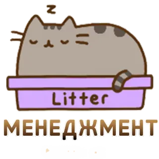 💩 567e856a Litter
МЕНЕДЖМЕНТ gato, arenero, dormir, lindo, gato gris whatsapp sticker
