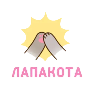 🙏 73146aaf ЛАПАКОТА lindo, patas de gato, texto ruso whatsapp sticker