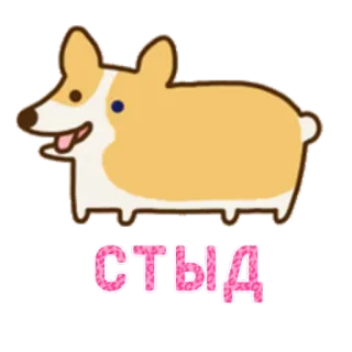 😶 7b98f0f3 СТЫД corgi, perro, animal, lindo, dibujos animados, texto whatsapp sticker