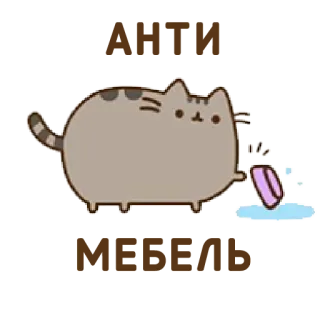 🌪 8daddd5a Pusheen pusheen, gato, jabón, lavado, limpieza, dibujos animados whatsapp sticker