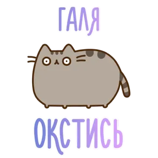 💩 97a1cab9 ГАЛЯ ОКСТИСЬ gato, pegatina, gracioso, lindo whatsapp sticker