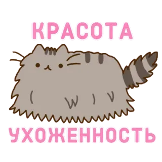 💁 b4a56506 КРАСОТА
УХОЖЕННОСТЬ gato, lindo, belleza, arreglado, ruso, pegatina whatsapp sticker