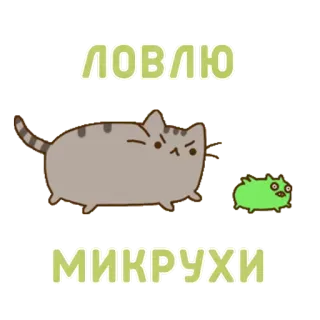 🕵 e8434c93 ЛОВЛЮ
МИКРУХИ gato, animal, atrapar, texto ruso whatsapp sticker