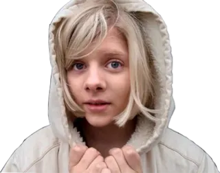 ☺️ 33e65a88 orang, hoodie, rambut pirang, potret, muda telegram sticker