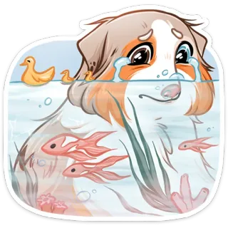 😭 2d70f281 cane, triste, piangere, pesce, acquario, cucciolo, carino, animale whatsapp sticker