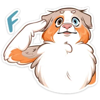 😐 c2bffd10 F cane, saluto, cartone animato, animale, pastore australiano, adesivo whatsapp sticker