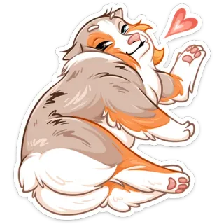 😘 d9eea17d 강아지, 동물, 귀여운, 애완 동물, 오스트레일리안 셰퍼드 telegram sticker