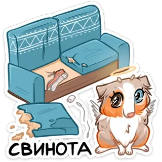 ⏺ 360654f1 СВІНОТА 소파, 기니피그, 천사, 후광, 애완동물 telegram sticker