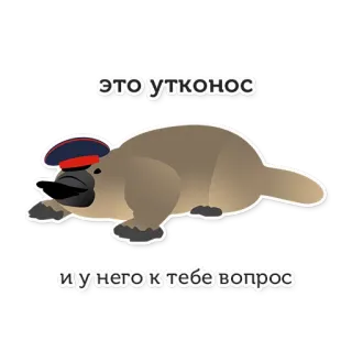 Australian Cossacks telegram stickers