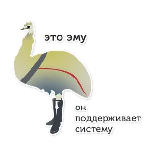 🐓 bdb09f9a ЭТО ЭМУ
ОН ПОДДЕРЖИВАЕТ СИСТЕМУ Emu, Ptak, Zwierzę, Buty, Rosyjski, System podparcia telegram sticker