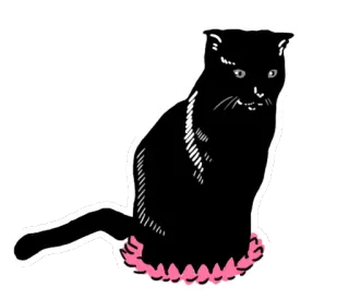 🤬 118166b1 gatto, animale, gatto nero, animale domestico, felino whatsapp sticker