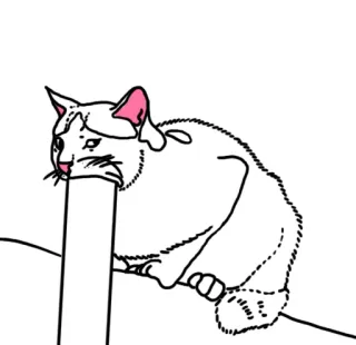 😱 1dc817e0 gatto, animale, animale domestico, gatto bianco, gatto cartone animato whatsapp sticker