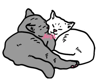 🥰 37a9ce23 gatti, animali, carino, gattini, amore, animali domestici whatsapp sticker