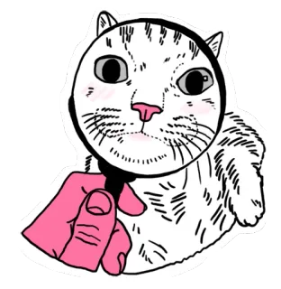 🔍 528283d6 gatto, lente d'ingrandimento, animale, animale domestico, cartone animato, adesivo, indagine whatsapp sticker