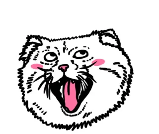 😻 7bd65b61 gatto, animale, carino, adesivo, cartoni animati, divertente, kawaii whatsapp sticker