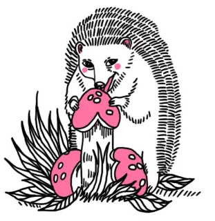 🦔 95542b35 riccio, fungo, animale, natura, rosa, illustrazione, adesivo whatsapp sticker