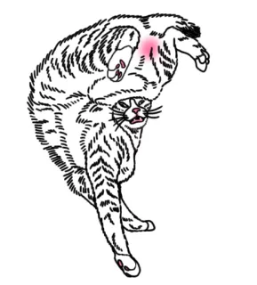 😌 bffa02f6 gatto, animale, sticker, felino, gatto domestico, sdraiato whatsapp sticker