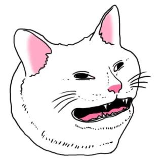 🤣 c5befbde gatto, meme, divertente, animale, gatto bianco, arrabbiato whatsapp sticker