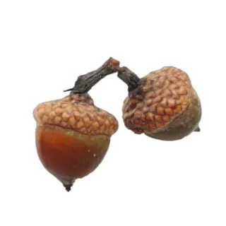 прекрасная пора @stickeerrsss telegram stickers