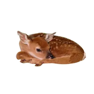 🦌 3ee38c61 鹿, 動物, 野生動物, 哺乳類, 小鹿, 自然 telegram sticker