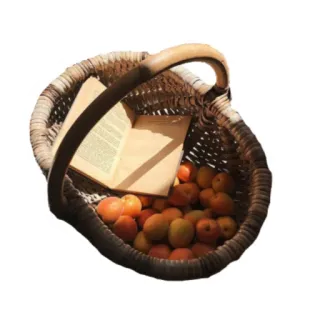 🍊 61584d26 かご, アプリコット, 本, フルーツ, 収穫, ピクニック telegram sticker