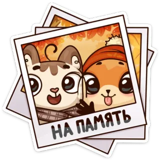 📸 33304e36 НА ПАМЯТЬ gatti, volpi, polaroid, amicizia, ricordi, carino, animali telegram sticker