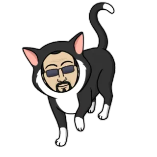 🐱 9d91b017 gato, fantasia, homem, óculos de sol, engraçado, animal telegram sticker