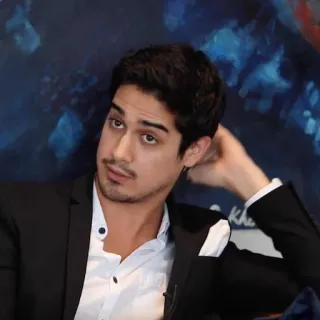 🌶 1977ee2c telegram sticker