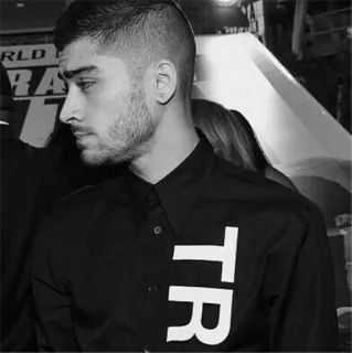 ▪️ 3a8d2394 Zayn Malik cantante, celebridad, retrato, hombre, blanco y negro, persona telegram sticker