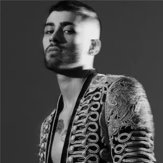 ▪️ 4a149db3 Zayn Malik cantante, celebridad, retrato, blanco y negro, Zayn Malik telegram sticker