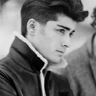 ▪️ 4bb69d08 Zayn Malik Zayn Malik, cantante, celebridad, One Direction, retrato, blanco y negro telegram sticker