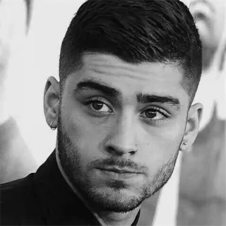 ▪️ 64371adb Zayn Malik cantante, celebridad, retrato, hombre, Zayn Malik telegram sticker