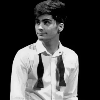 ▪️ 6562300d Zayn Malik Zayn Malik, cantante, One Direction, músico, celebridad, retrato telegram sticker