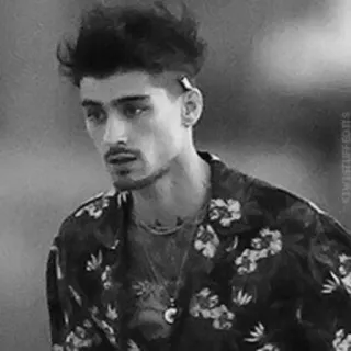 ▪️ 8bdb7260 Zayn Malik ZAYNSTYLEUPDATES cantante, celebridad, blanco y negro, Zayn Malik telegram sticker