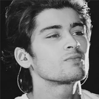 ▪️ 8efb8139 Zayn Malik Zayn Malik, cantante, retrato, blanco y negro, celebridad telegram sticker